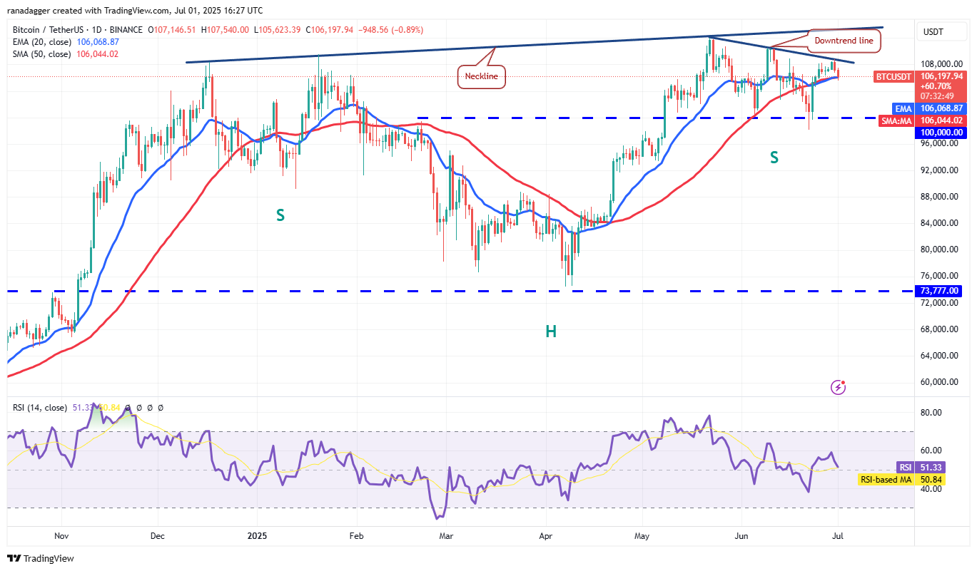 Biểu đồ giá Bitcoin 1D