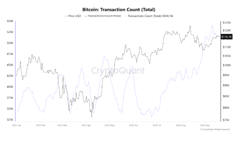 Dữ liệu từ CryptoQuant