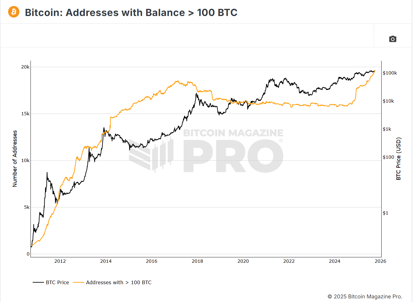 Số lượng ví cá voi nắm giữ hơn 100 BTC