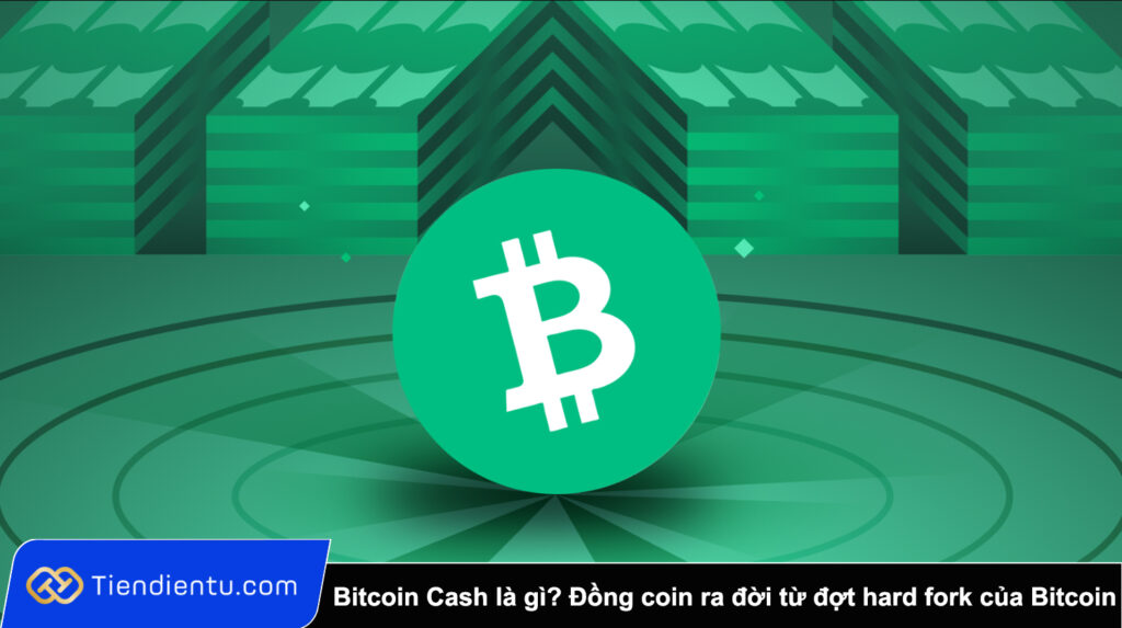 Bitcoin Cash (BCH) là gì Đồng coin ra đời từ đợt hard fork của Bitcoin