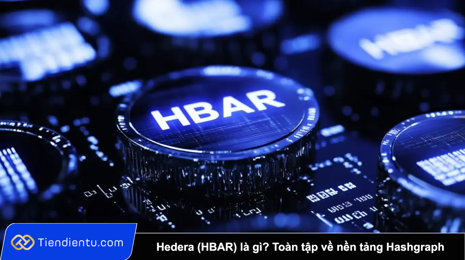 Hedera (HBAR) là gì Toàn tập về nền tảng Hashgraph