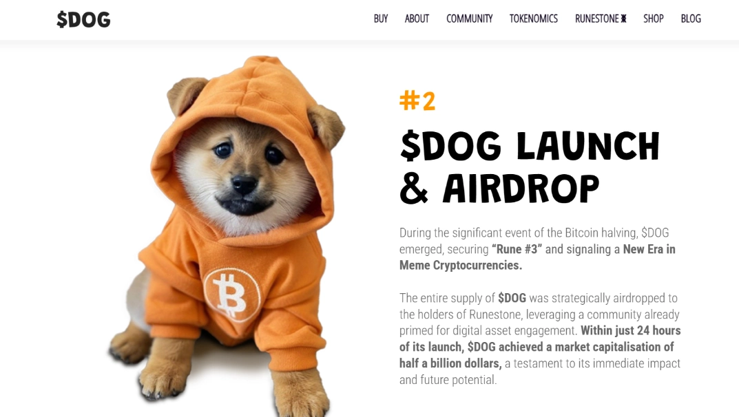 Lịch sử hình thành của Dog