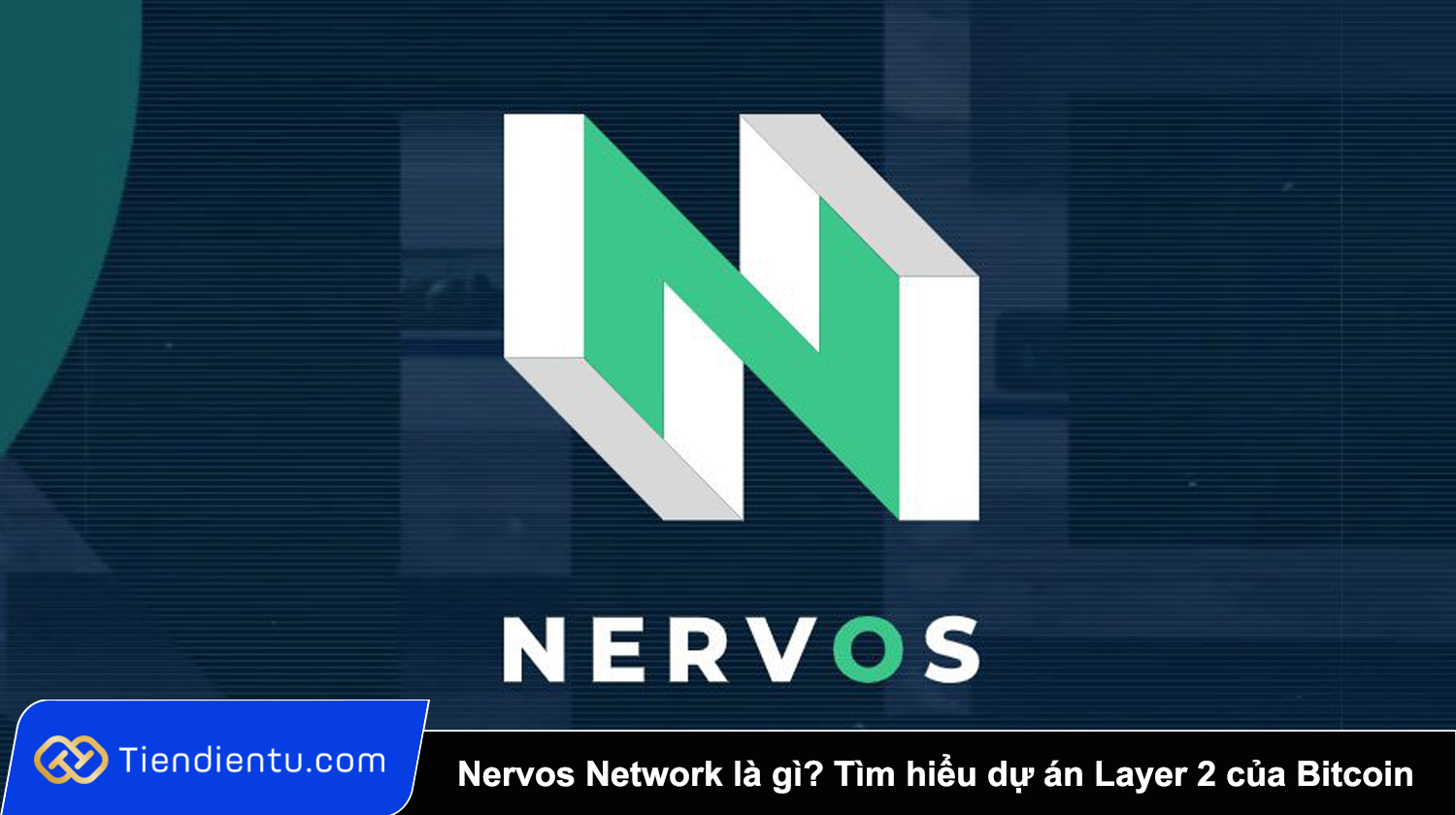 Nervos Network (CKB) là gì? Tìm hiểu dự án Layer 2 của Bitcoin đầy tiềm năng
