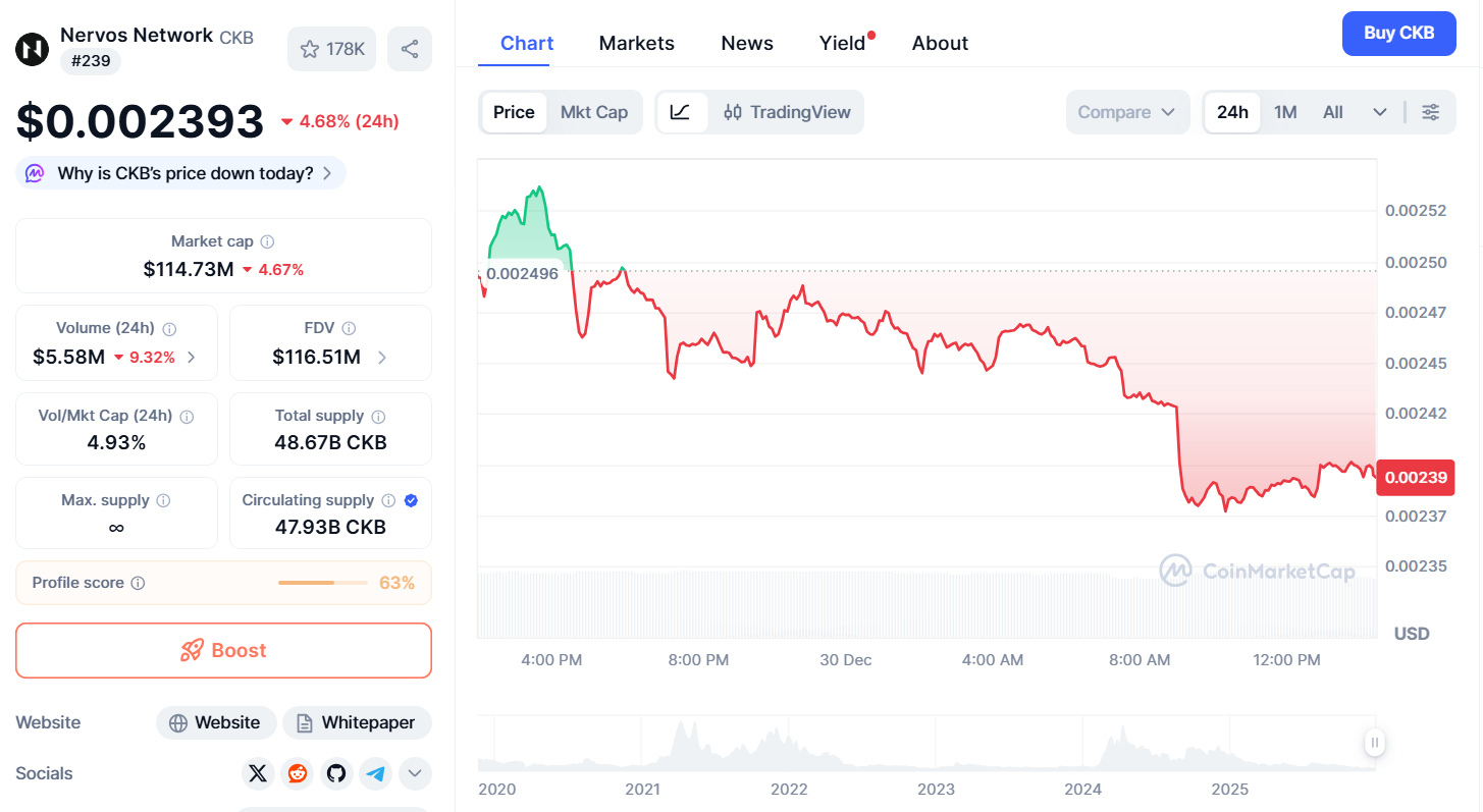 Thông tin cơ bản về token CKB