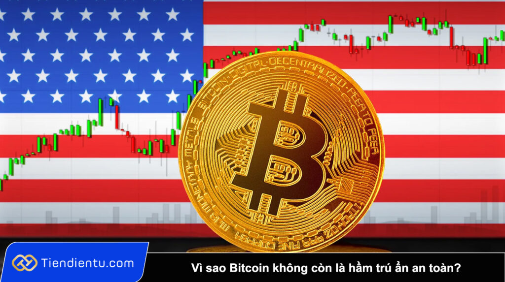 Danh gia rui ro 8.000 ty USD vi sao Bitcoin khong con la ham tru an an toan