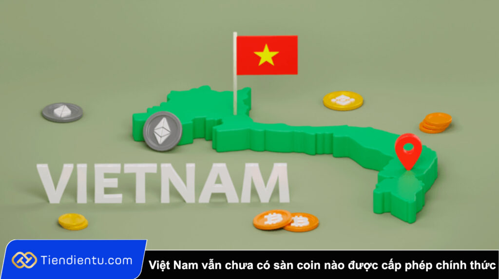 Viet Nam van chua co san coin nao duoc cap phep chinh thuc