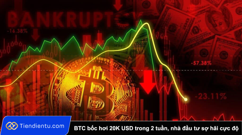 Bitcoin boc hoi 20.000 USD trong 2 tuan nha dau tu roi vao trang thai so hai cuc do