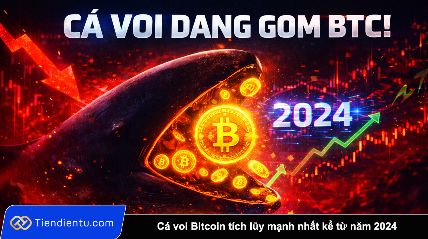 Ca voi Bitcoin tich luy manh nhat ke tu nam 2024 giua luc thi truong giam sau