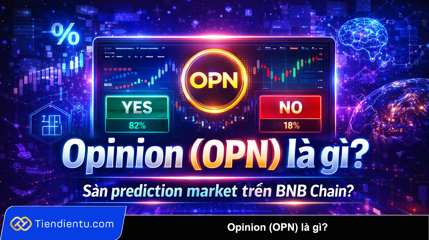 Opinion OPN la gi