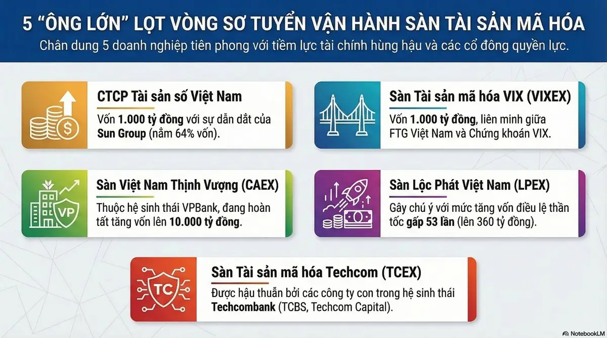 Việt Nam có phát hành stablecoin không? 2 11 2