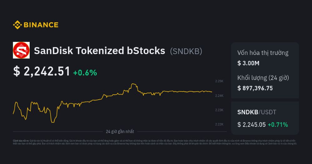 SNDKB là gì? Tìm hiểu token cổ phiếu Sandisk 4 Có nên đầu tư SNDKB không?