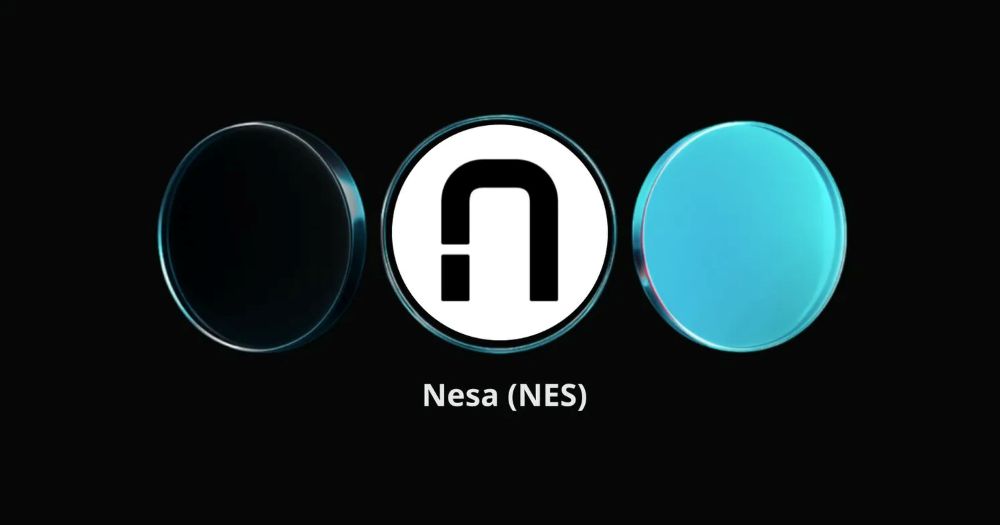 Giới thiệu về dự án Nesa