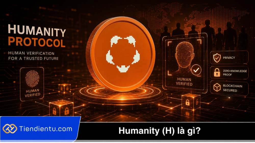 humanity là gì