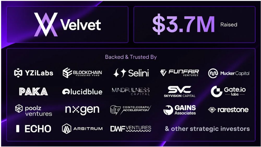 Các nhà đầu tư của Velvet Capital