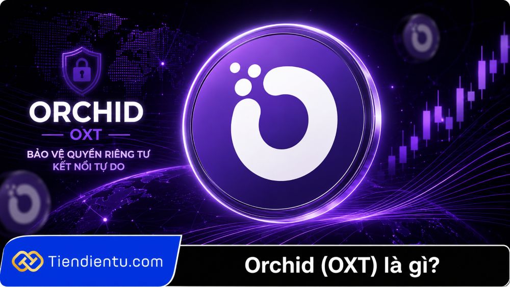 Orchid (OXT) là gì? Điểm đặc biệt của dự án VPN phi tập trung